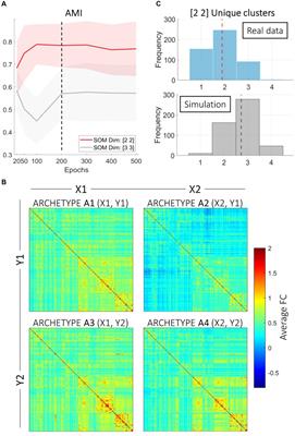 The degenerate coding of psychometric profiles through functional connectivity archetypes
